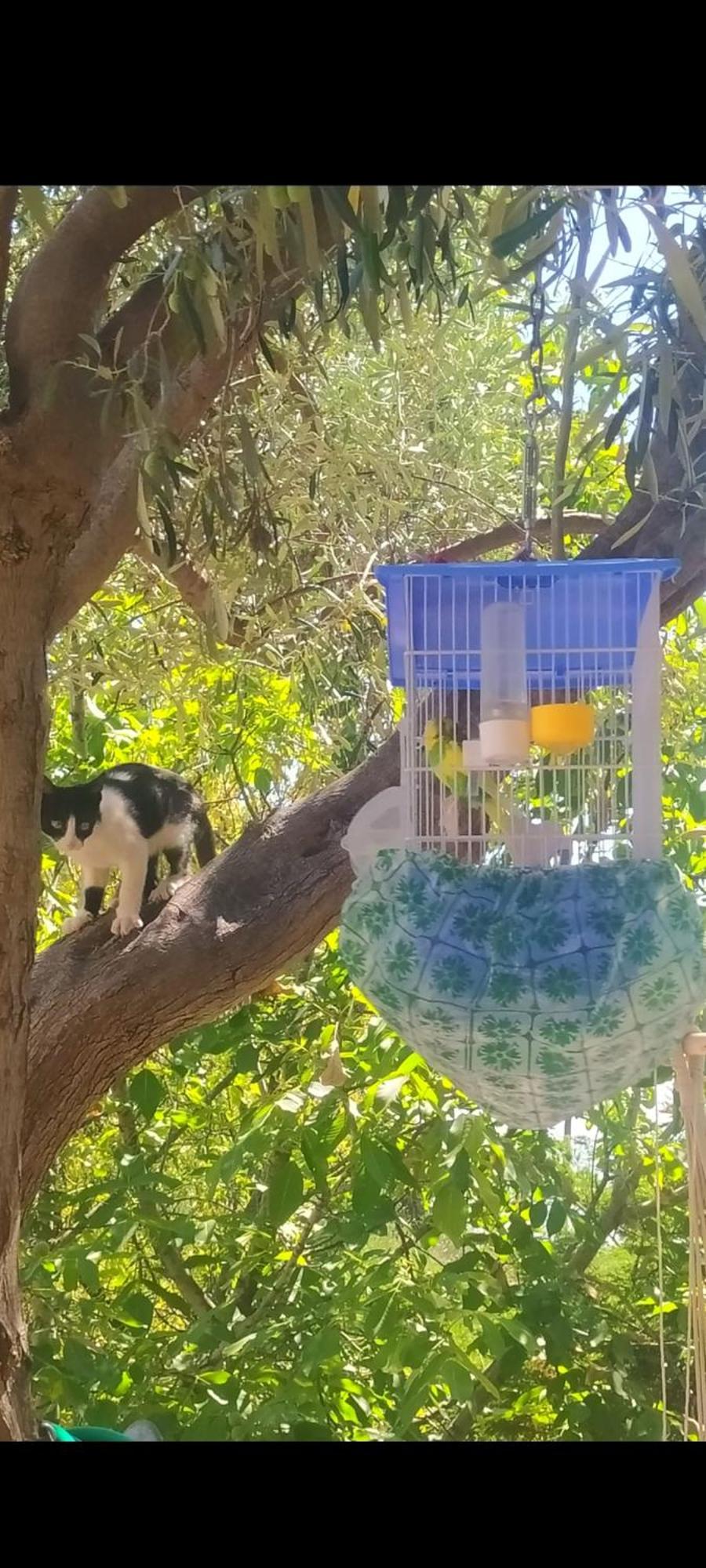 View Διαμερισμα Villa Loukissia Bagian luar foto