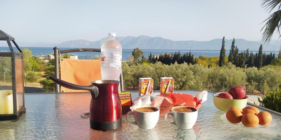 View Διαμερισμα Villa Loukissia Bagian luar foto